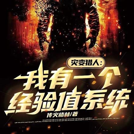 灾变猎人:我有一个经验值系统